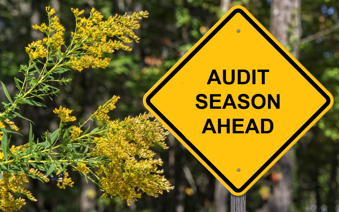 Spring has Sprung and so Have Audit Requests: Here’s What You Need to Know